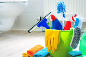 Messie Reinigung Seevetal